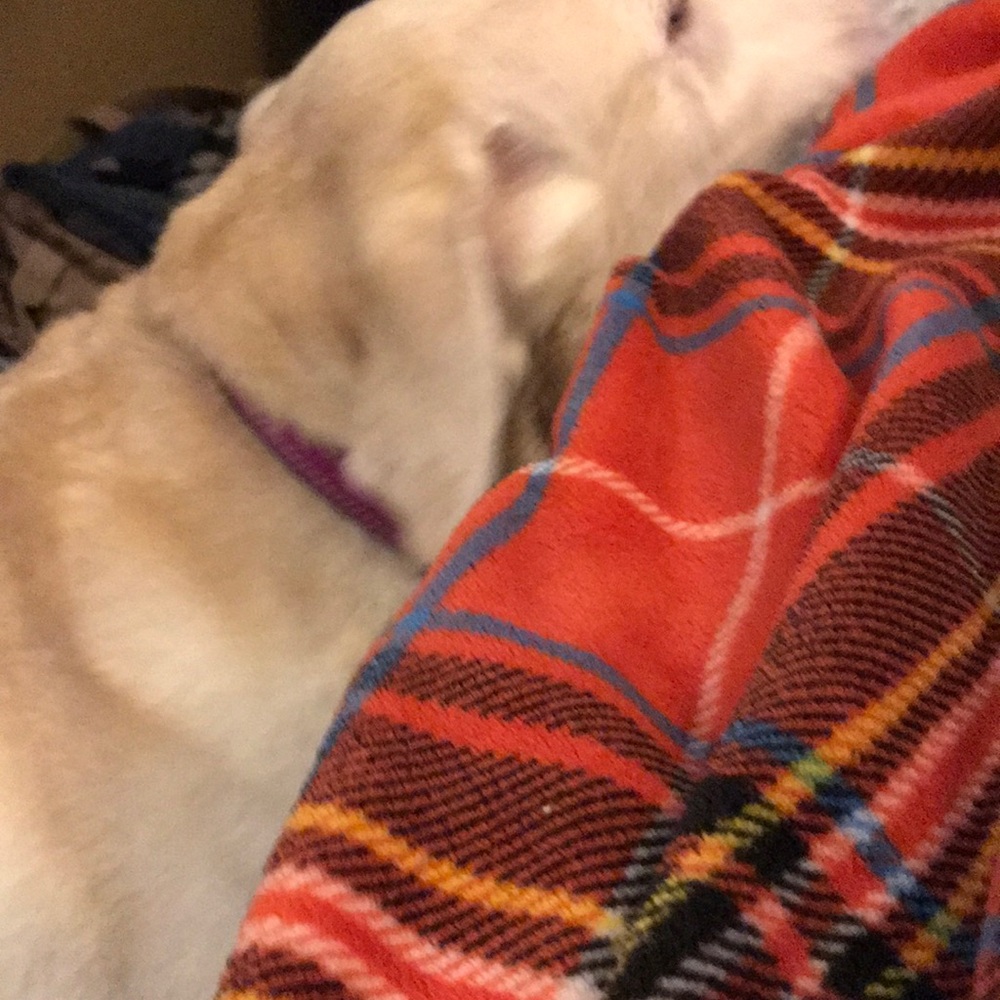 Meet your Posher, Bruce